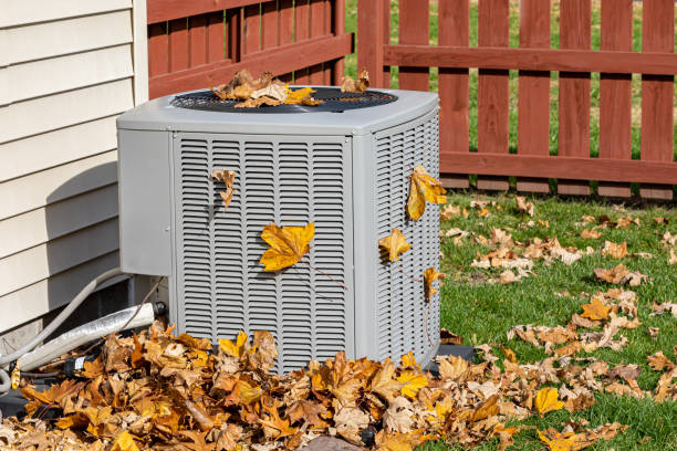 Best HVAC Air Duct Cleaning  in Venice Gardens, FL